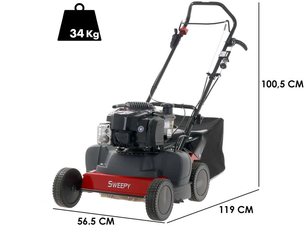 Kehrmaschine Eurosystems SWEEPY mit B&S 675 EXi Series Motor - Auffangbehälter