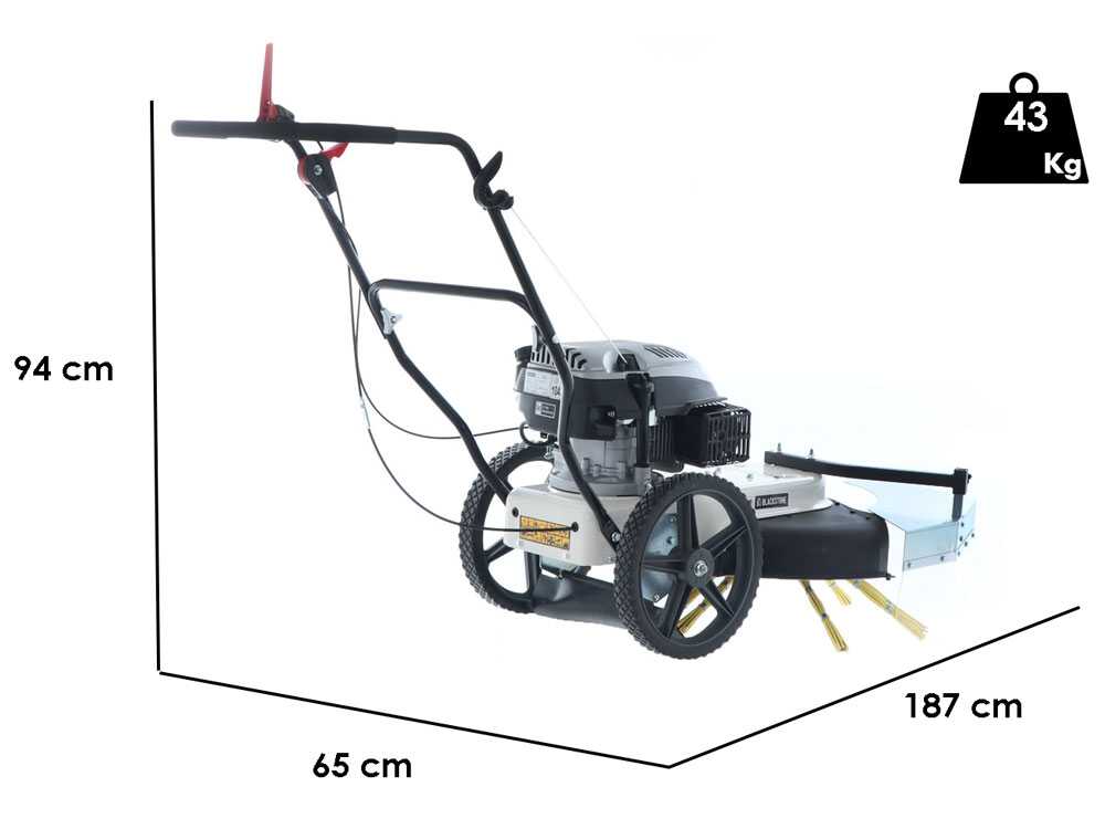Kehrmaschine-Fadenmäher zum Schieben BlackStone WYT 60-173 - Motor 173 ccm