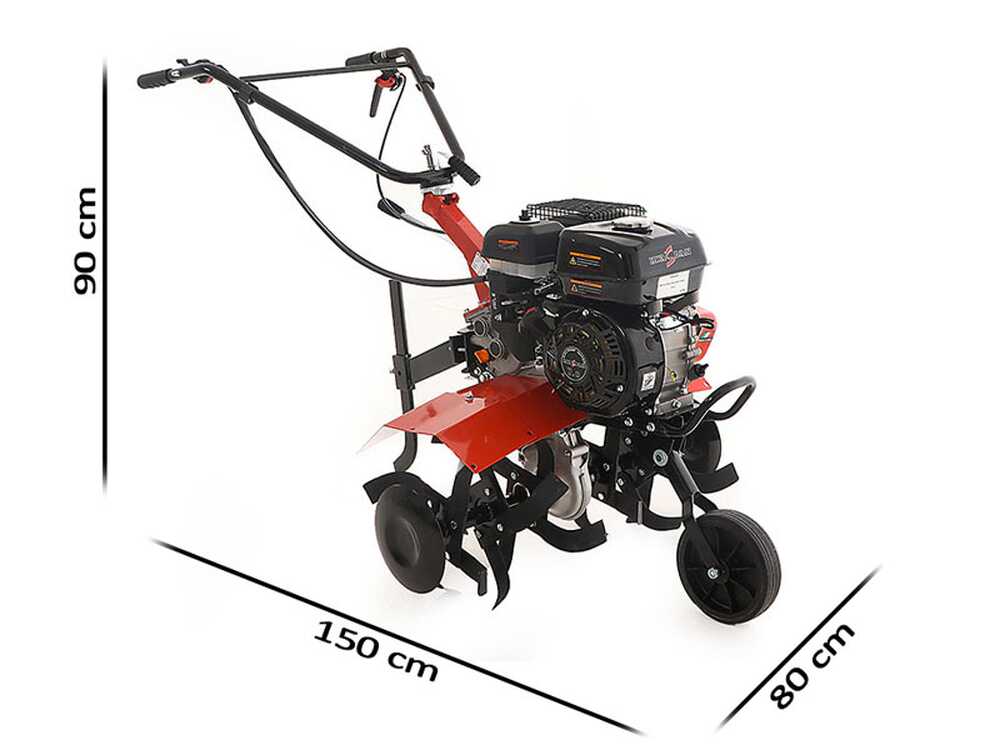 Motorhacke Benassi BL 6000C mit Benzinmotor Hwasdan H170F 212ccm - 2+1 Gänge